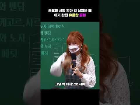 시험 완벽 대비! 효율적인 복습 전략 교육으로 단기 기억 강화