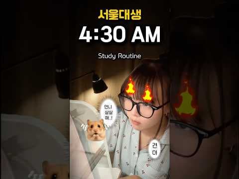 새벽 교육 효과 높이는 학습 루틴: 문제집과 타이머 활용법