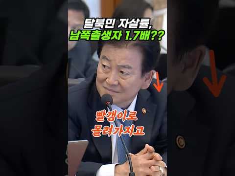 탈북민 사회 적응 교육: 고용 문제와 높은 자살률 해결 방안